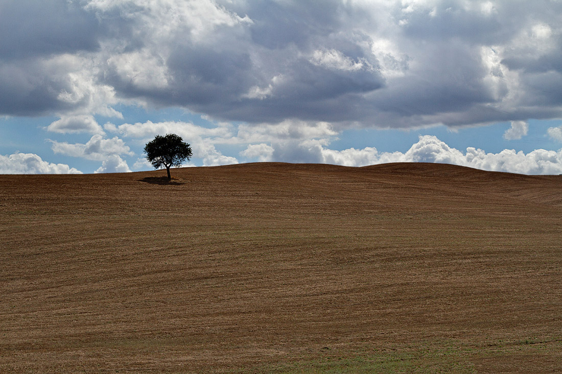 Crete Senesi