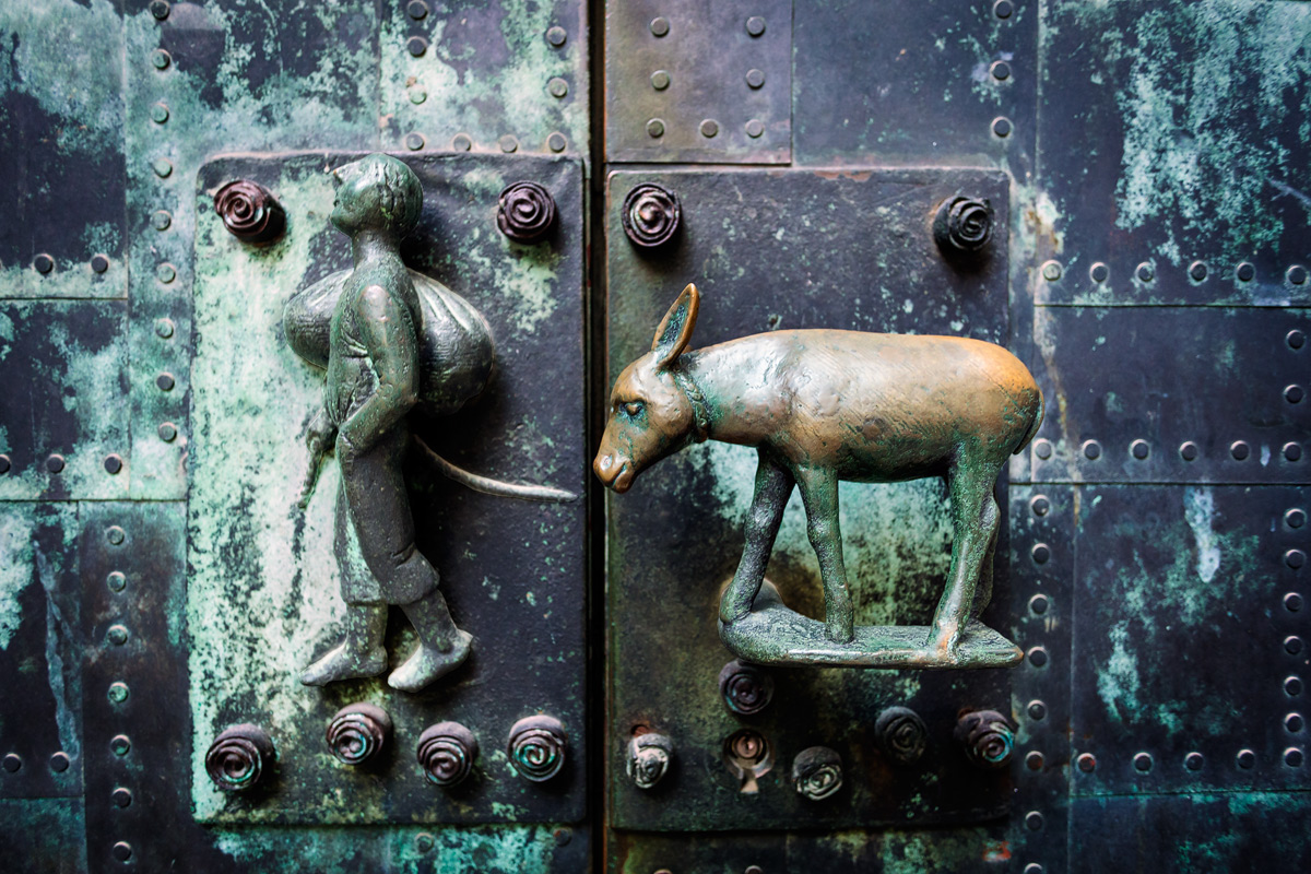 The Donkey who goes on roses