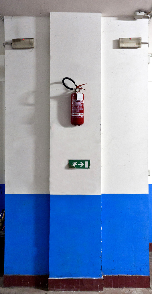 il guardiano del garage!