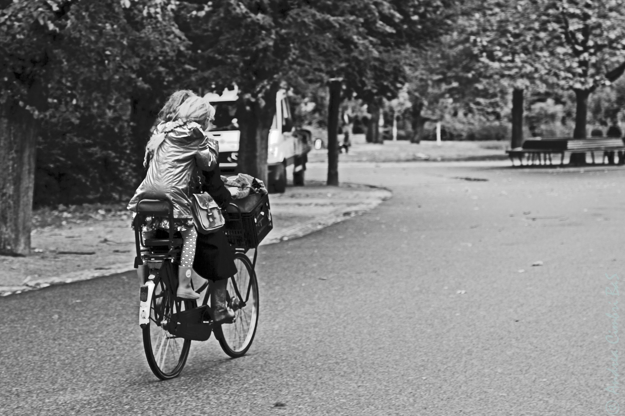 Amsterdam Vondelpark 2