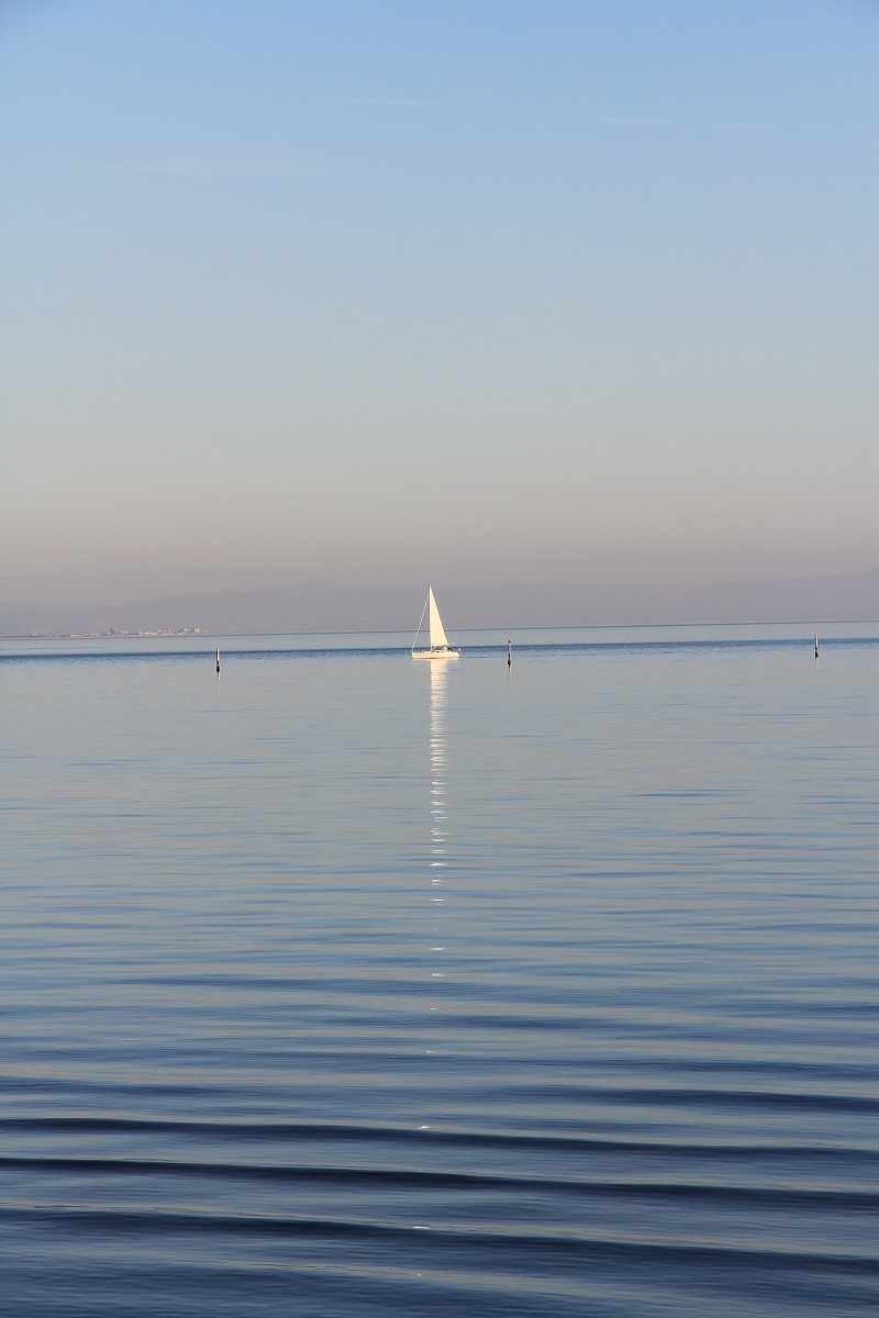 Lignano 15.xii.2013 - apa78