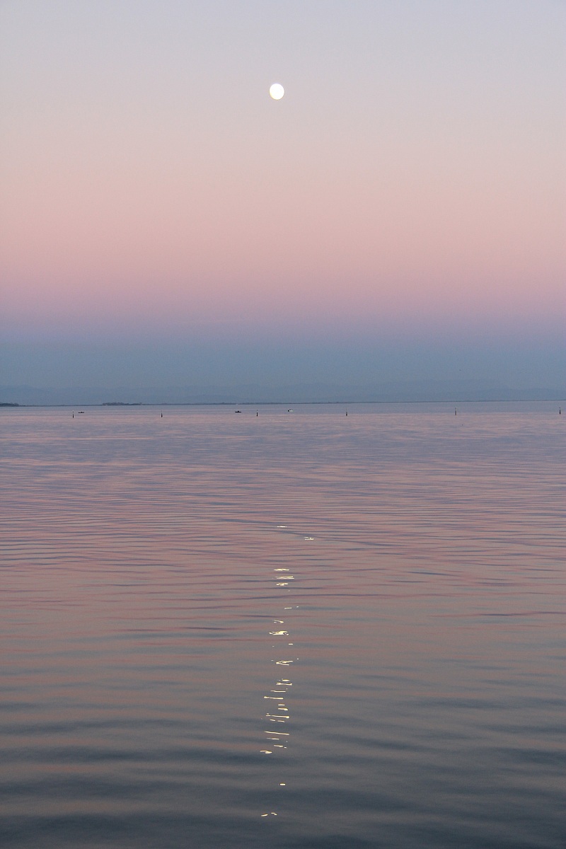 Lignano 15.xii.2013 - apa78