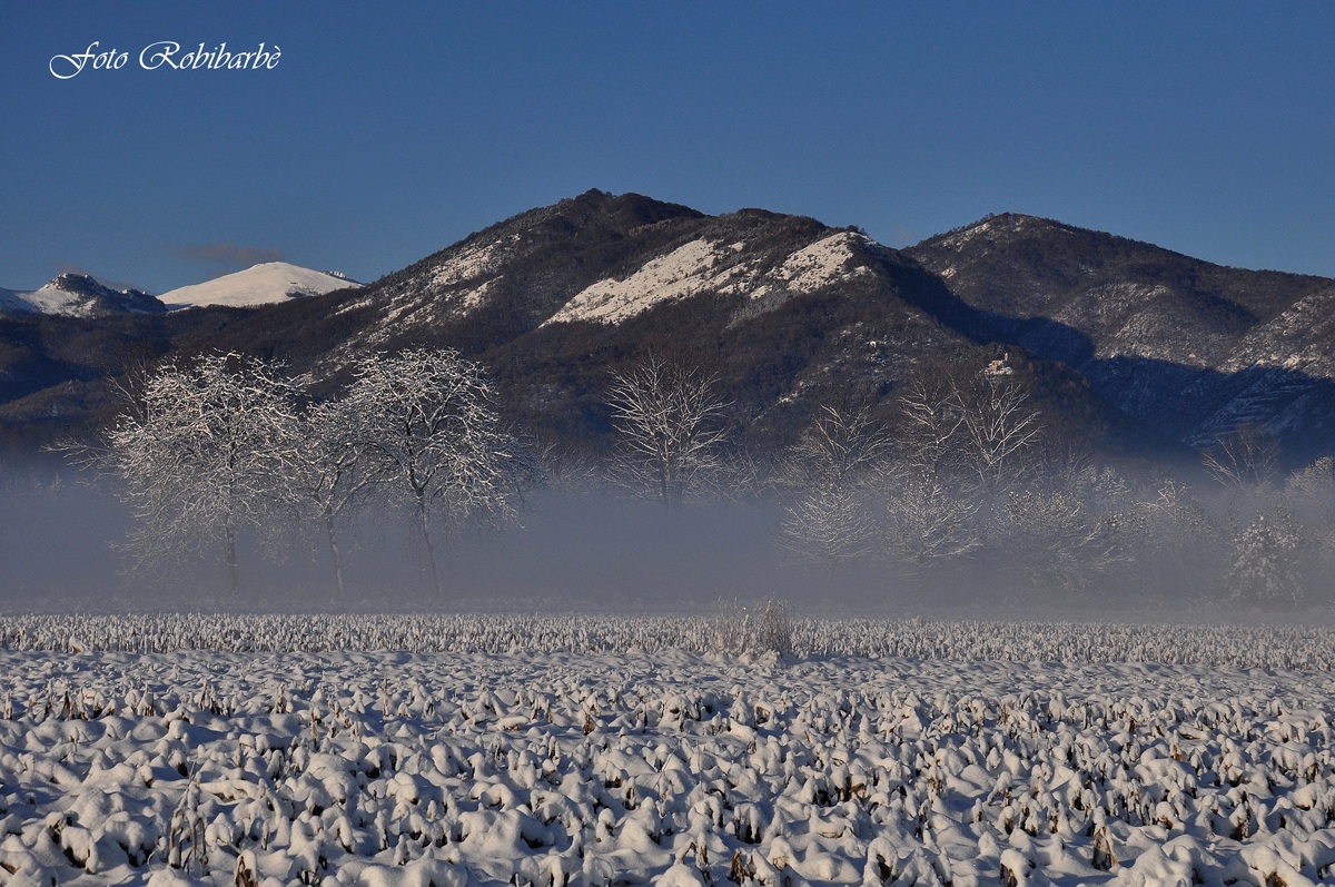 La coda del drago .....