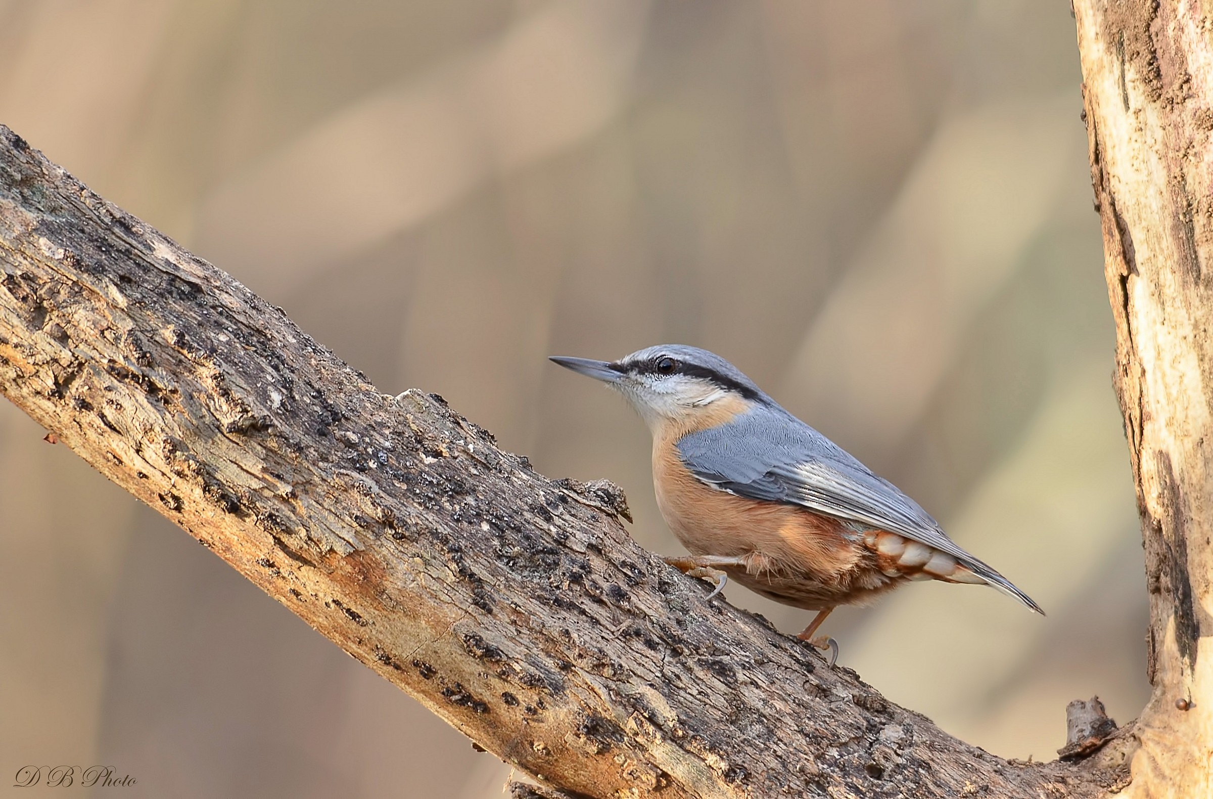 Ai primi raggi di sole.....