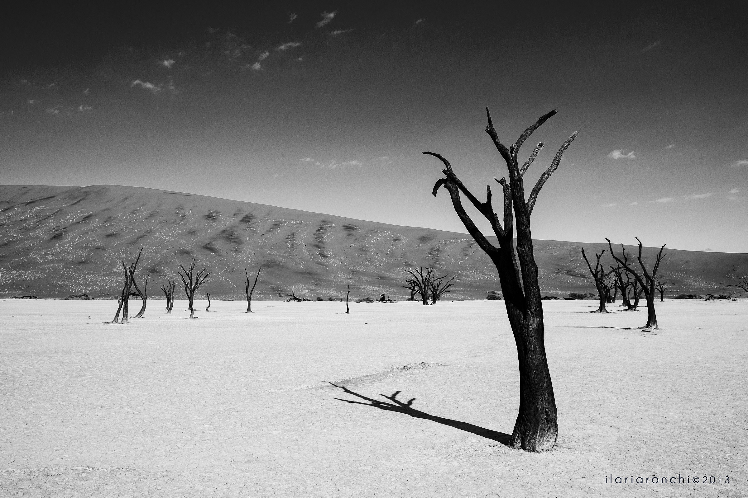 Between Death and Life