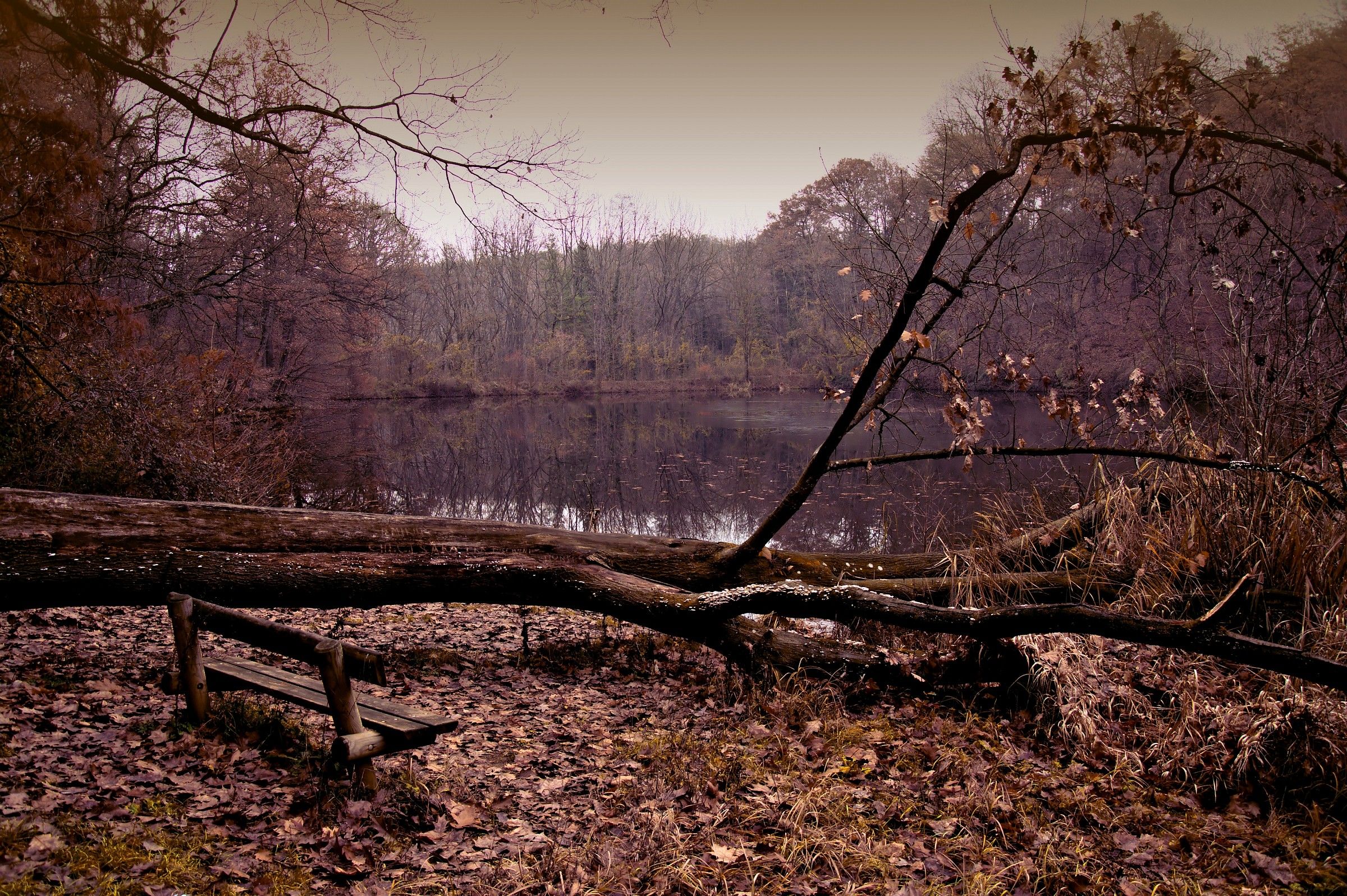 Un posto in prima fila