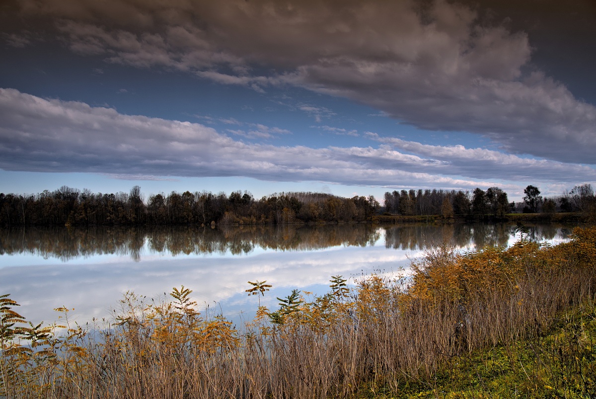 Wetlands along the river Po-2