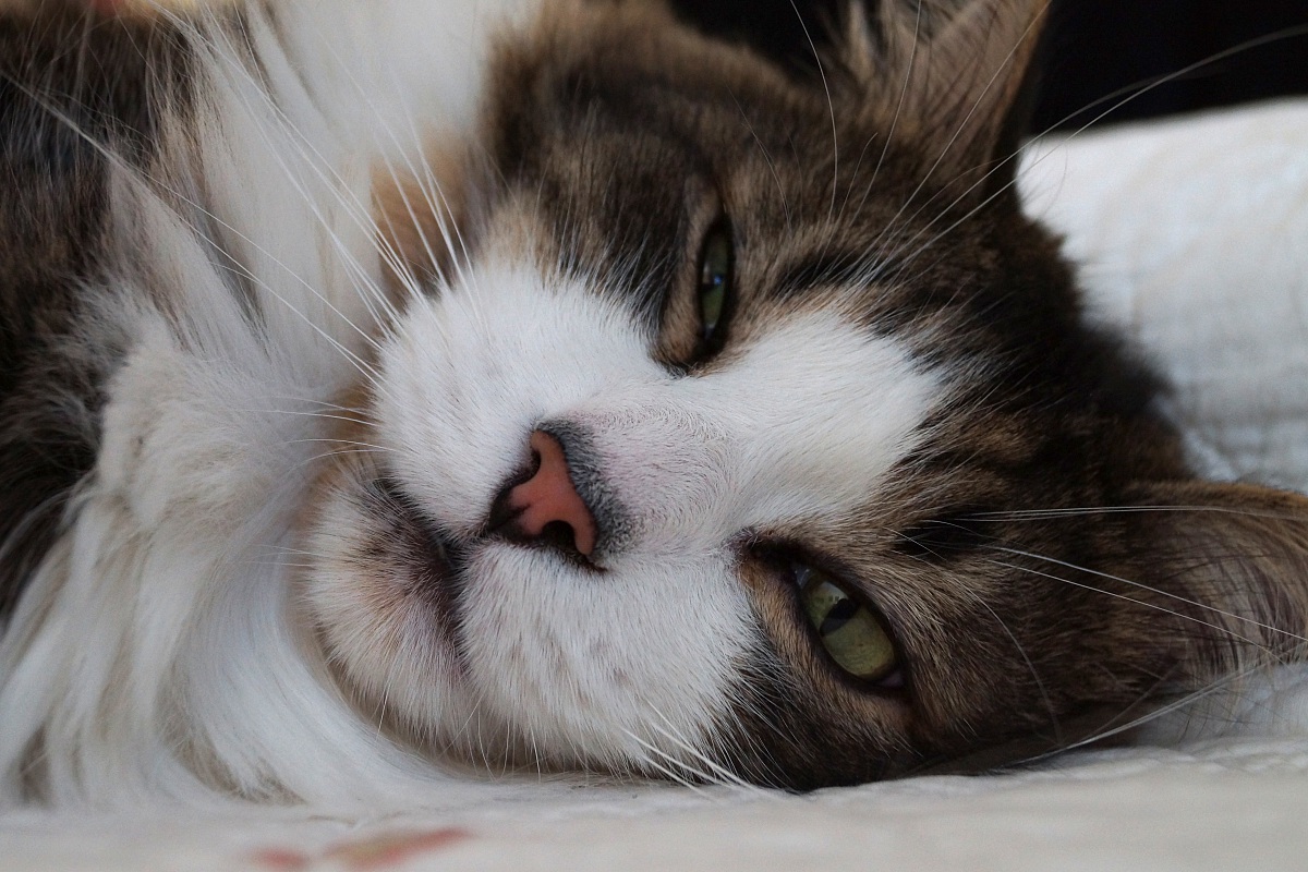 But ........ always vigilant and alert to any moviment