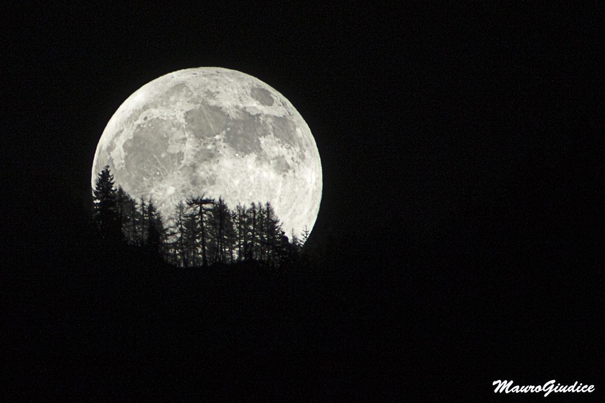 magica luna  #luna #moon #mond