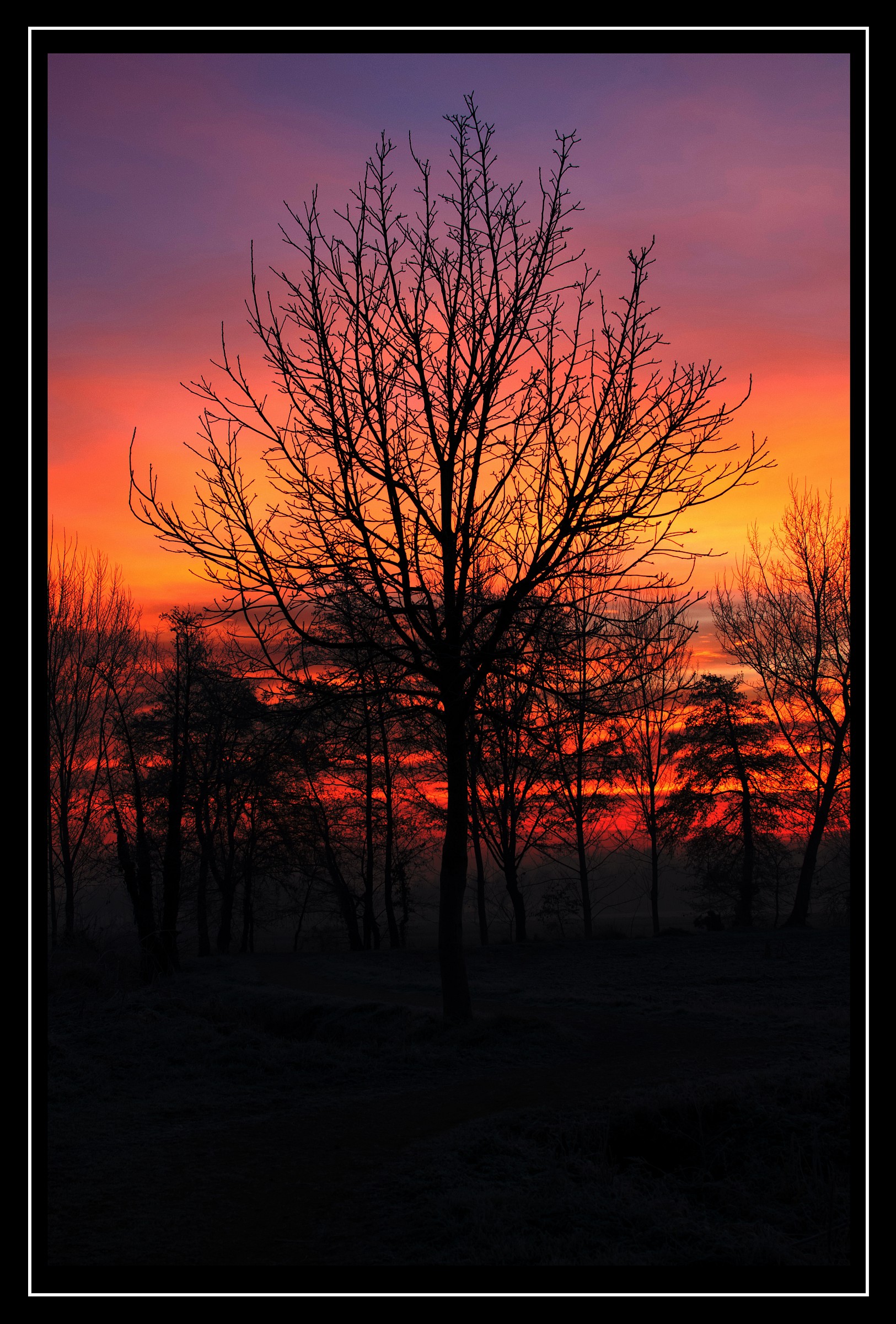 solitario sul sentiero