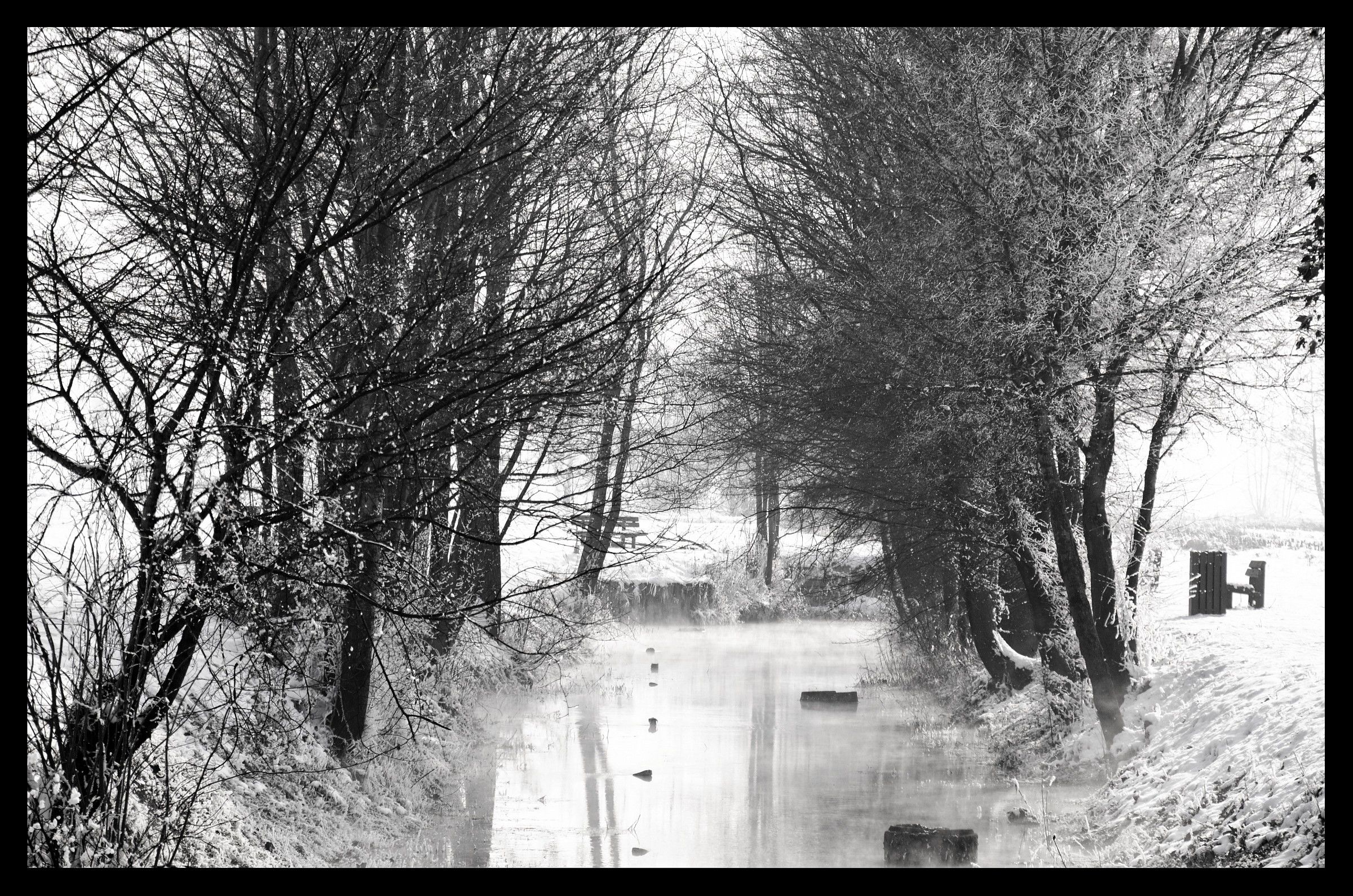 bianco e nero naturale