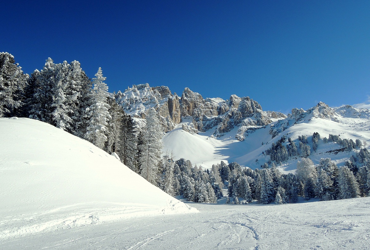Dolomites of Val di Fiemme