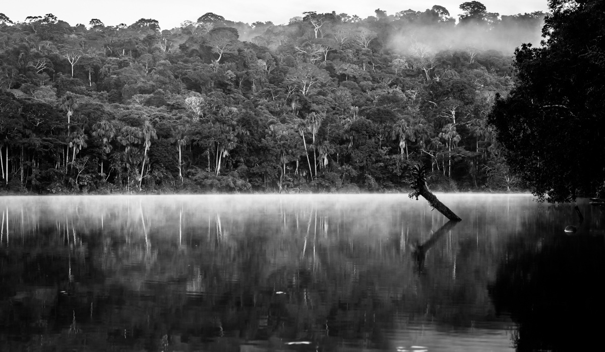 Amazonas (b&w)