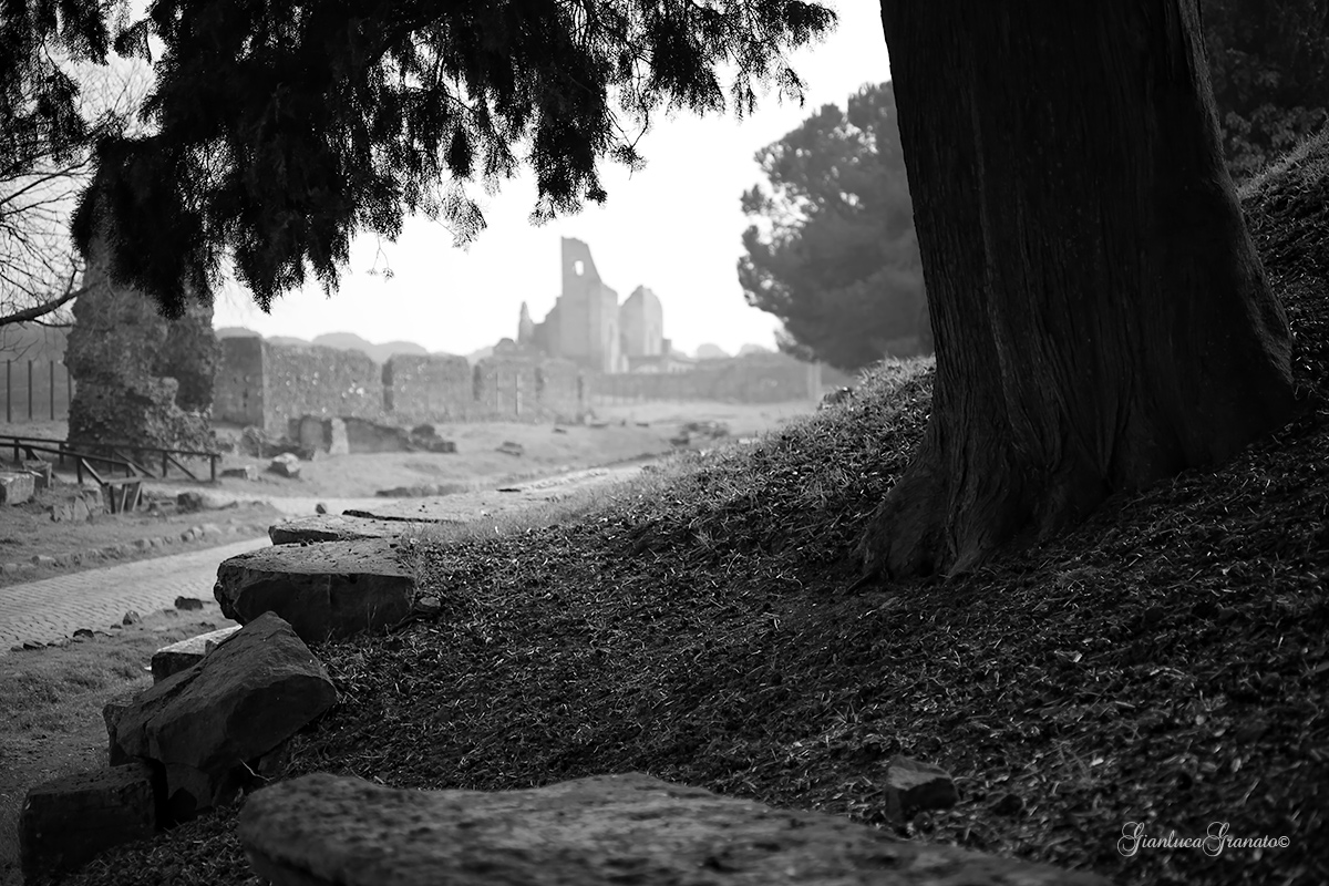 Appia antica