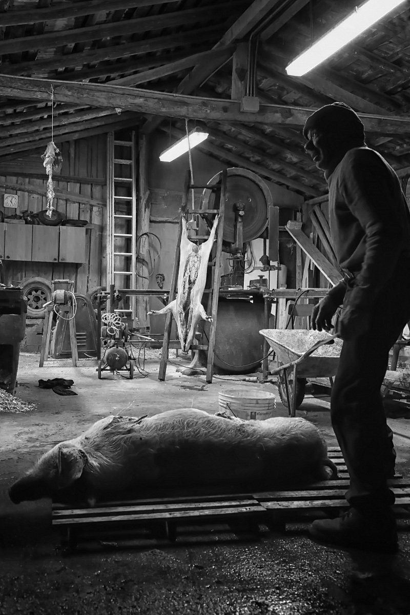 Ritratto di vita contadina