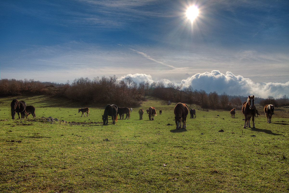 Cammino contemplativo di Karol Wojtyla