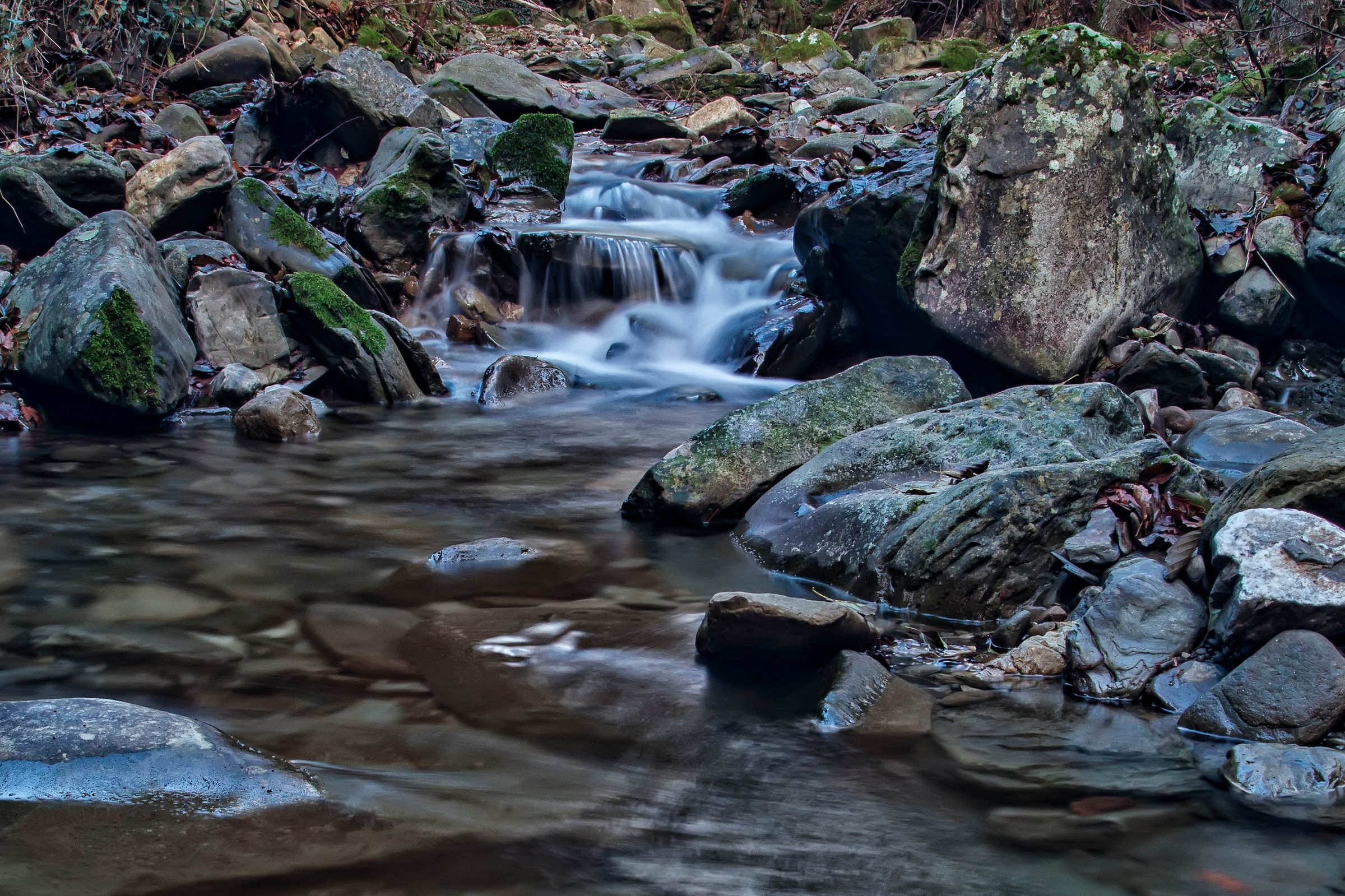 Acque chiare del Casentino