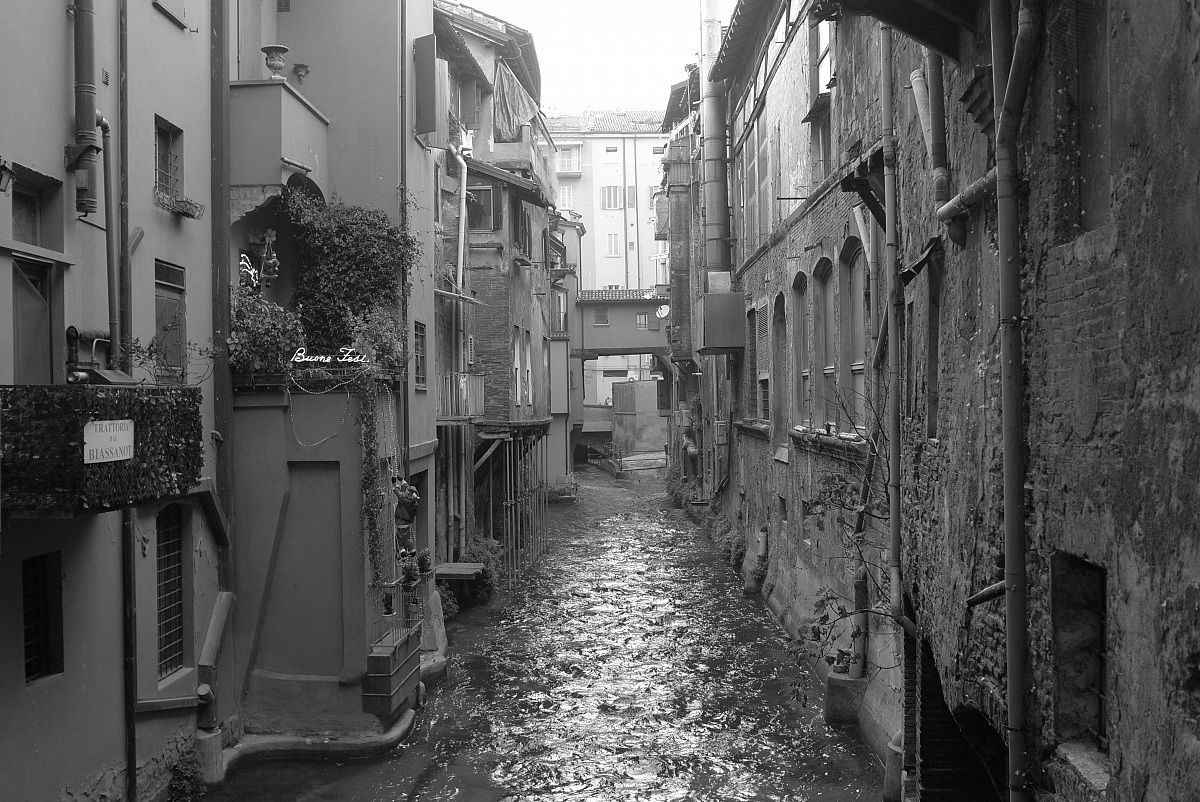 The window of Via Piella (bo)