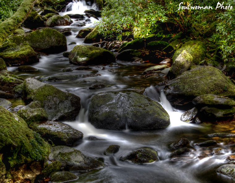 Killarney National Parc