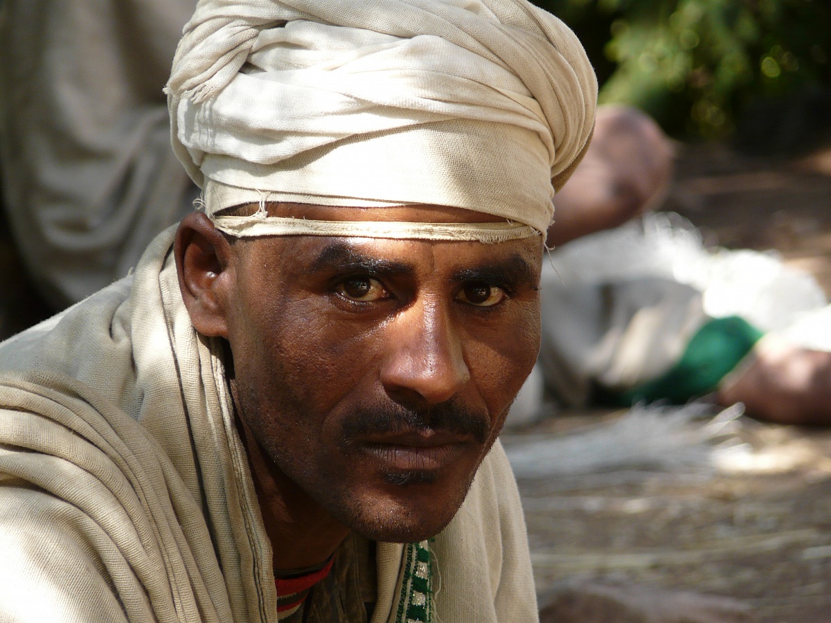 Eyes for understanding