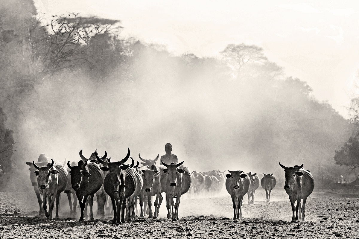 From an ancient world