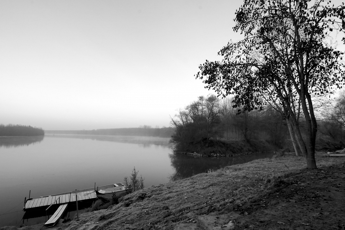 The Dead de la Purchera