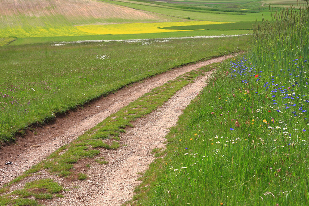 poi....girare a destra