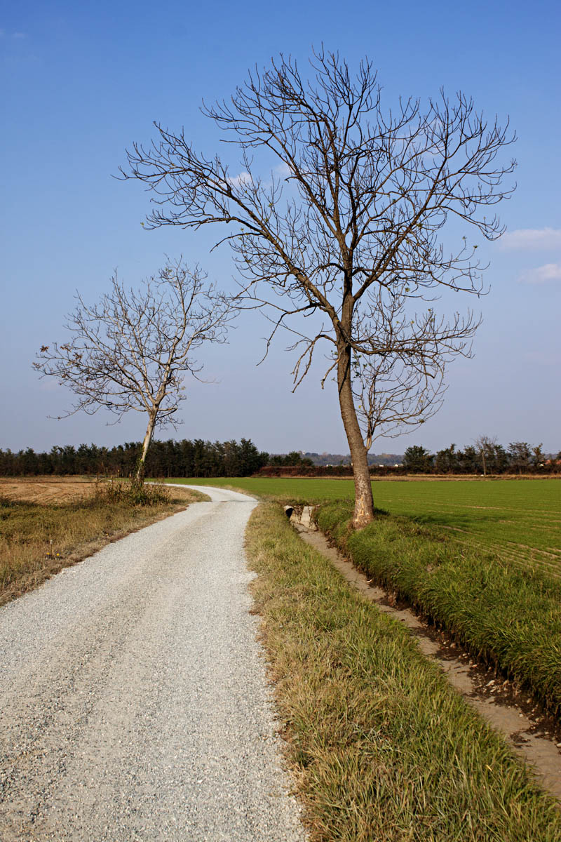 The guardians of the road
