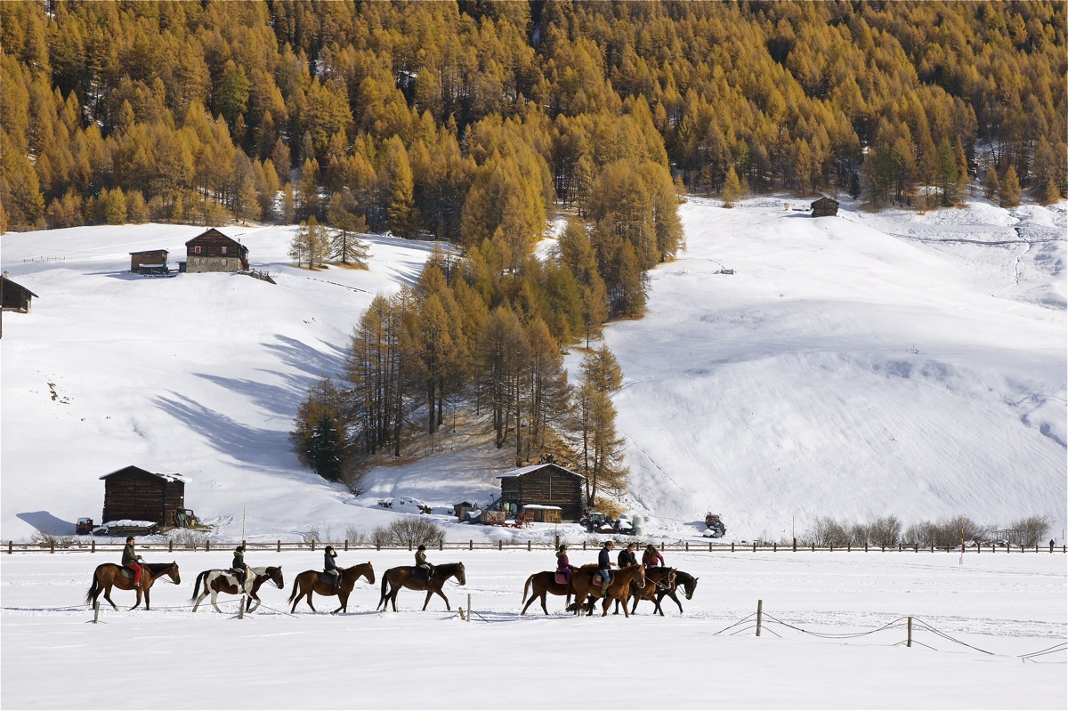Passeggiate a cavallo
