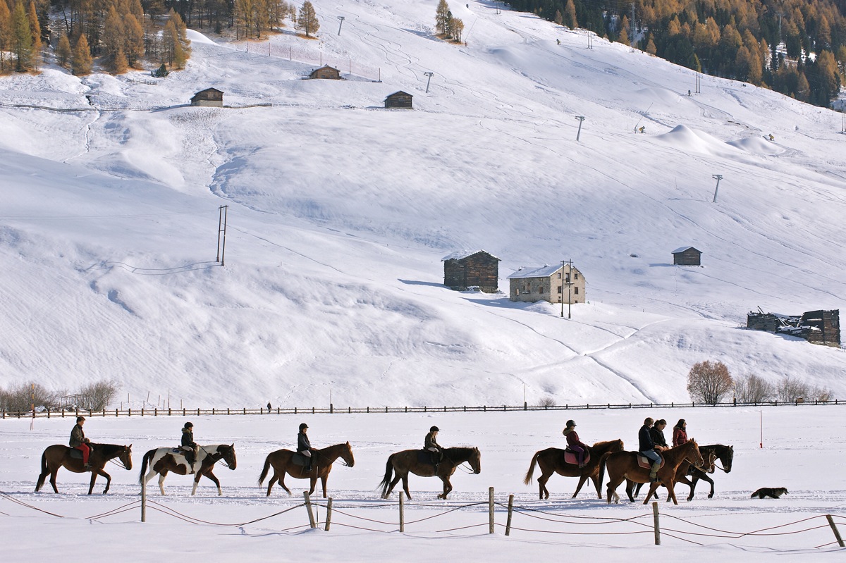 Passeggiate a cavallo a Livigno
