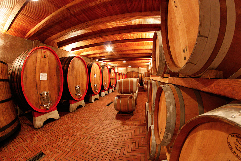 One shot with the fisheye in the basement of a friend