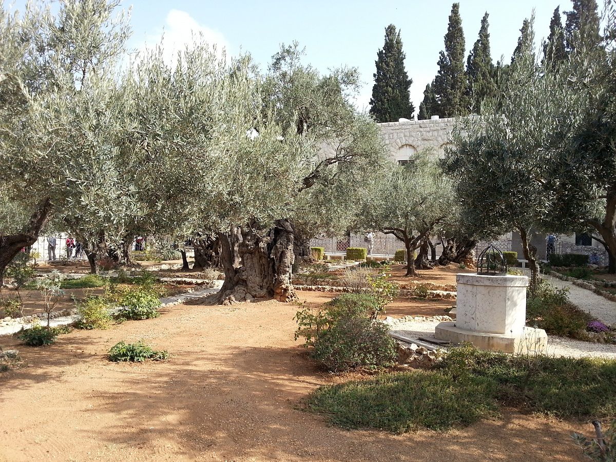 Giardino dei Gezemani