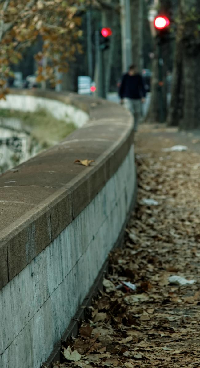 L'isola Tiberina, Carl Zeiss Sonnar 135mm f/4