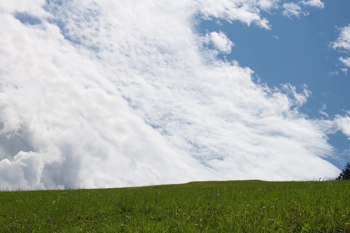 Up the hill, down the clouds