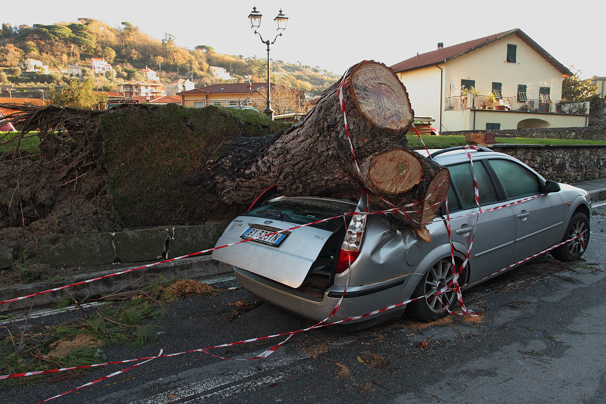 The gift of Santa Claus ..........