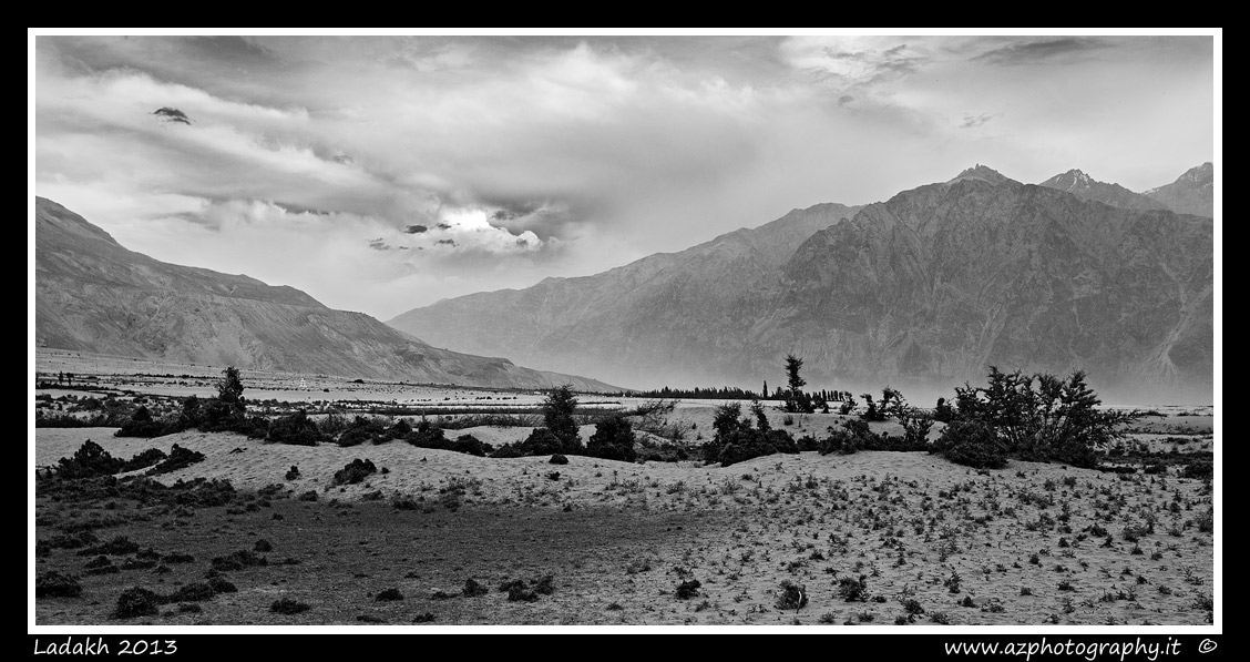 Nubra Valley Desert III