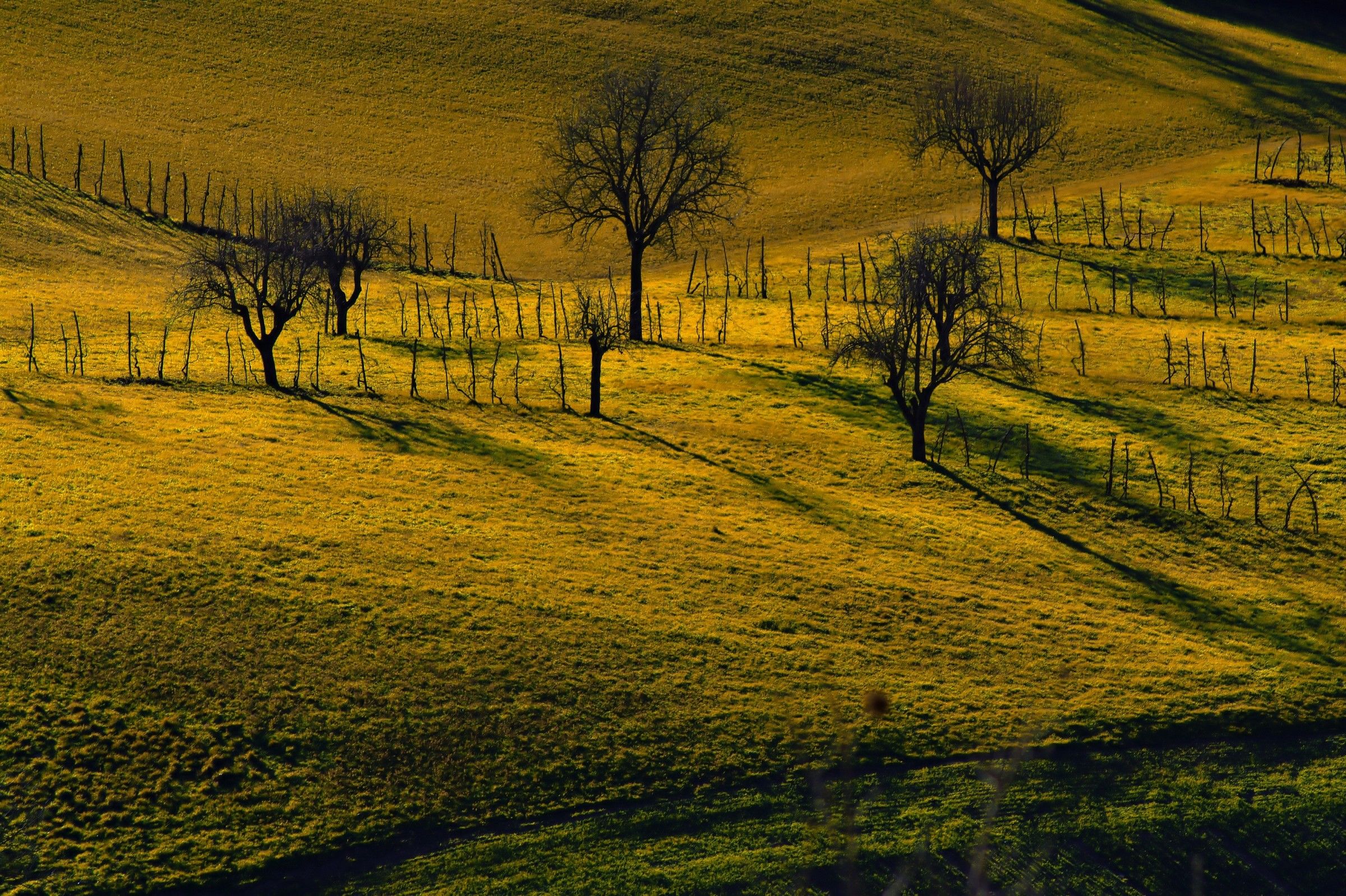 Ombre lunghe al sole d'inverno