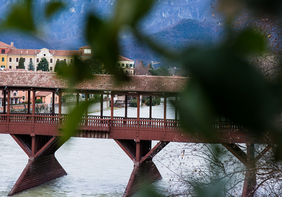 The bridge of leaves