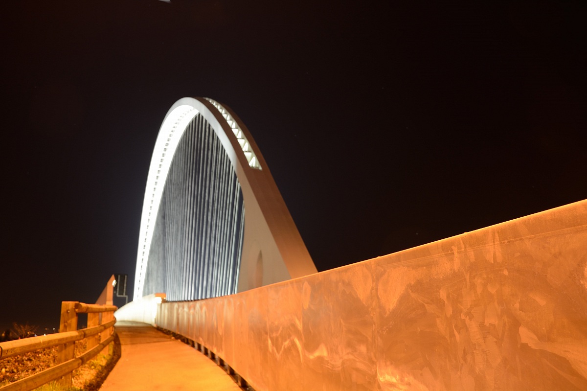 Calatrava Bridge 2