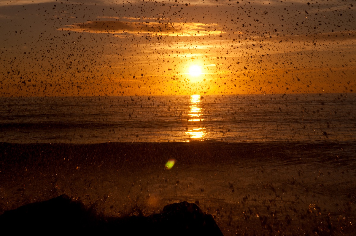 M.di Carrara 27.12.13