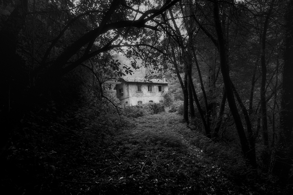 House in the woods