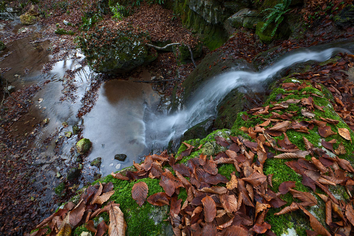 In fondo al ponte di Veja