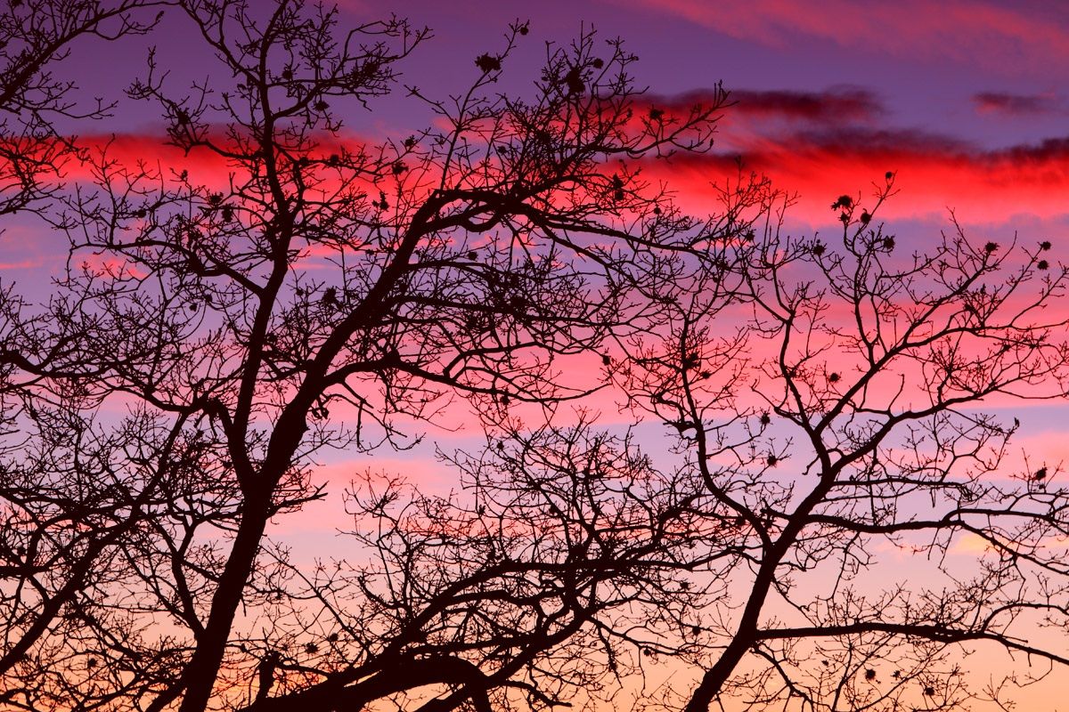 Tramonto a Montespineto