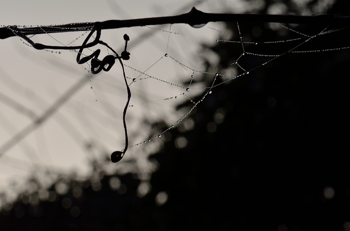 Negative and positive