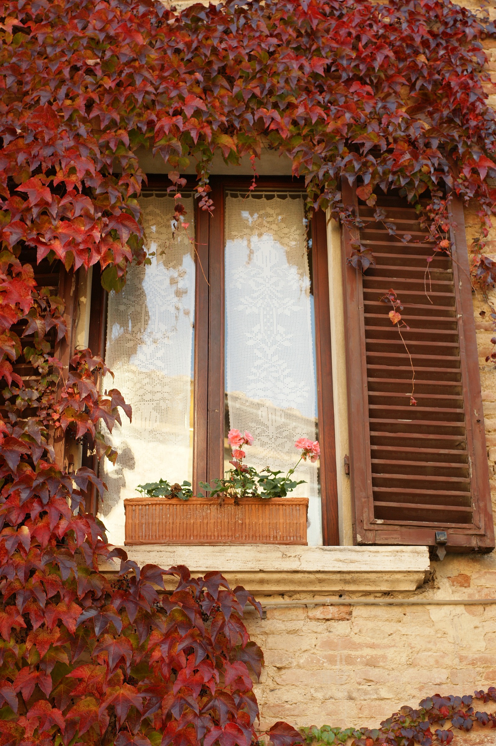 Montepulciano window ..