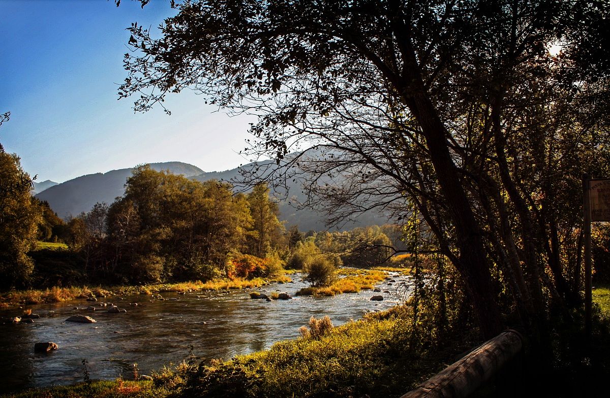 Walking on the bike trail