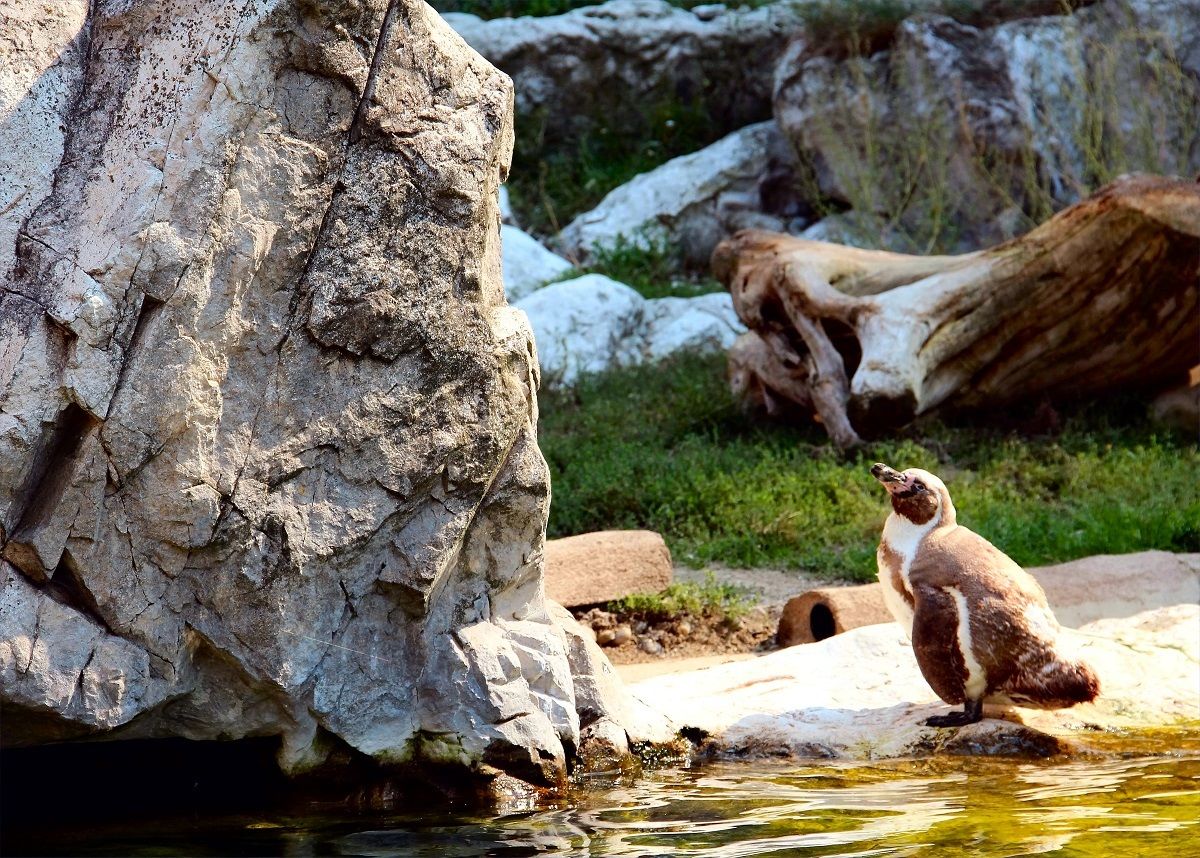 insurmountable obstacles ...