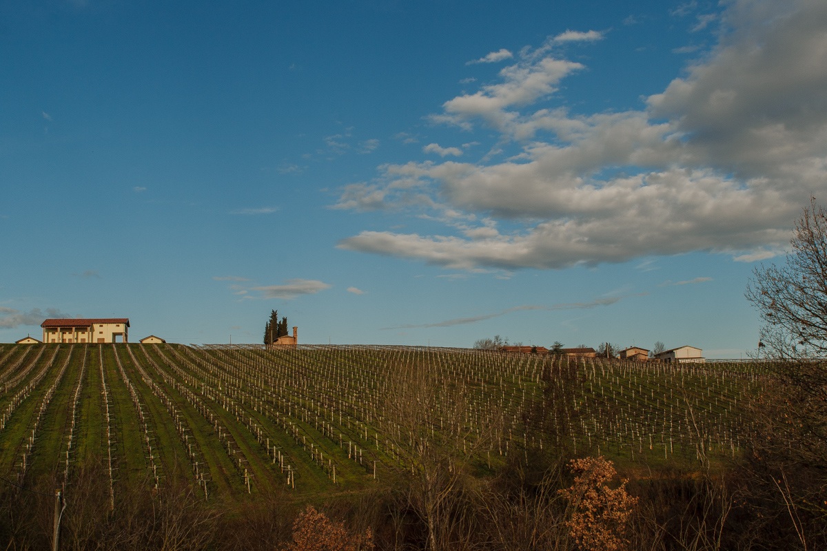 Collina di Castelvetro