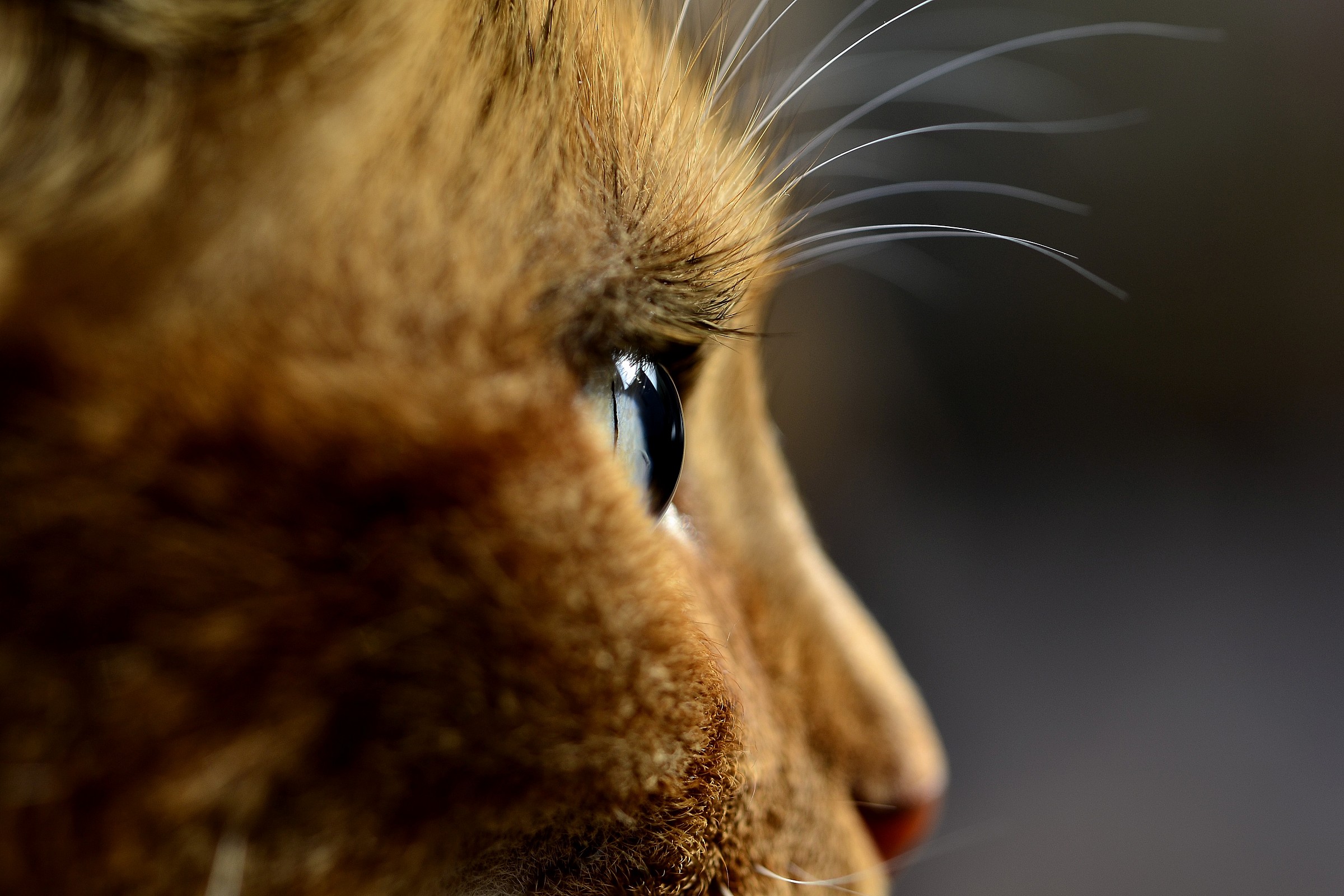 The eye of the heart.