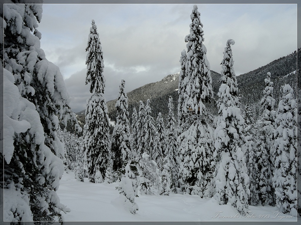 Neve di fine dicembre!!!